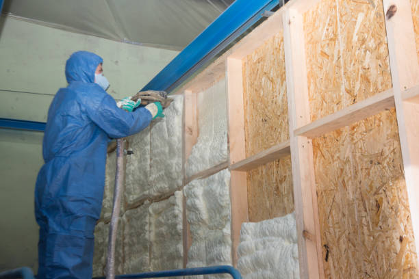 Best Energy-efficient Insulation  in Lansford, PA